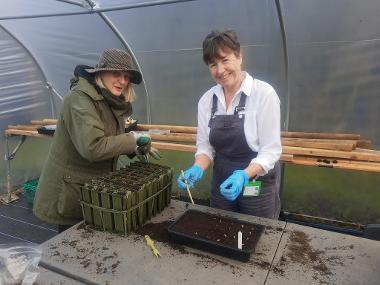 Gressenhall Tree Nursery Volunteers