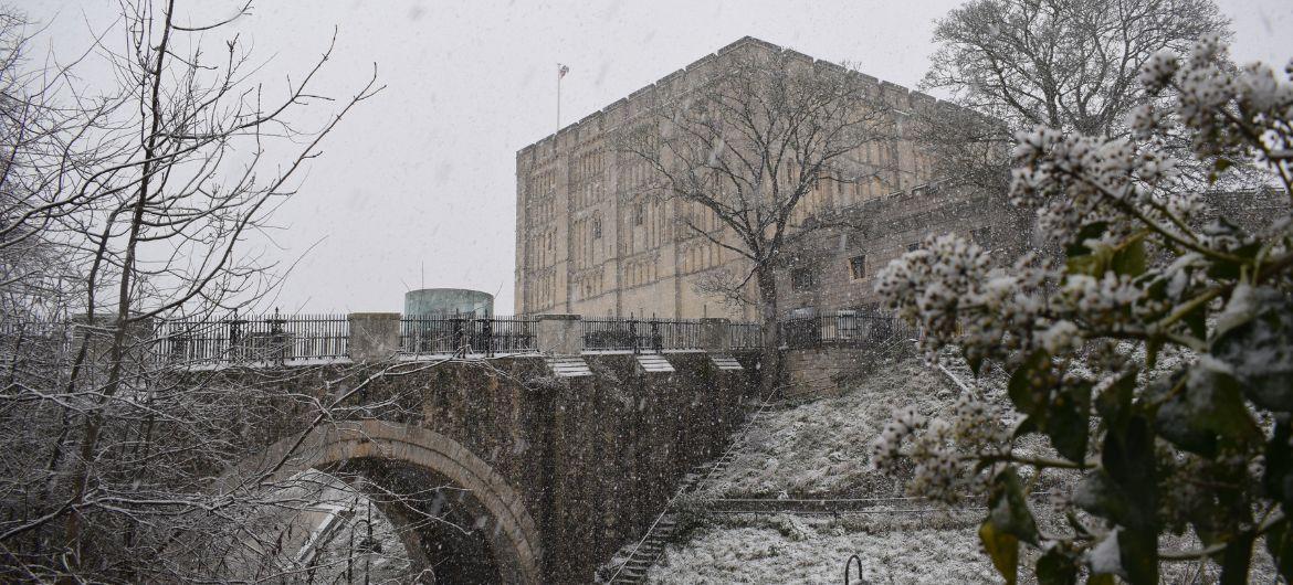 Image for Christmas at Norwich Castle